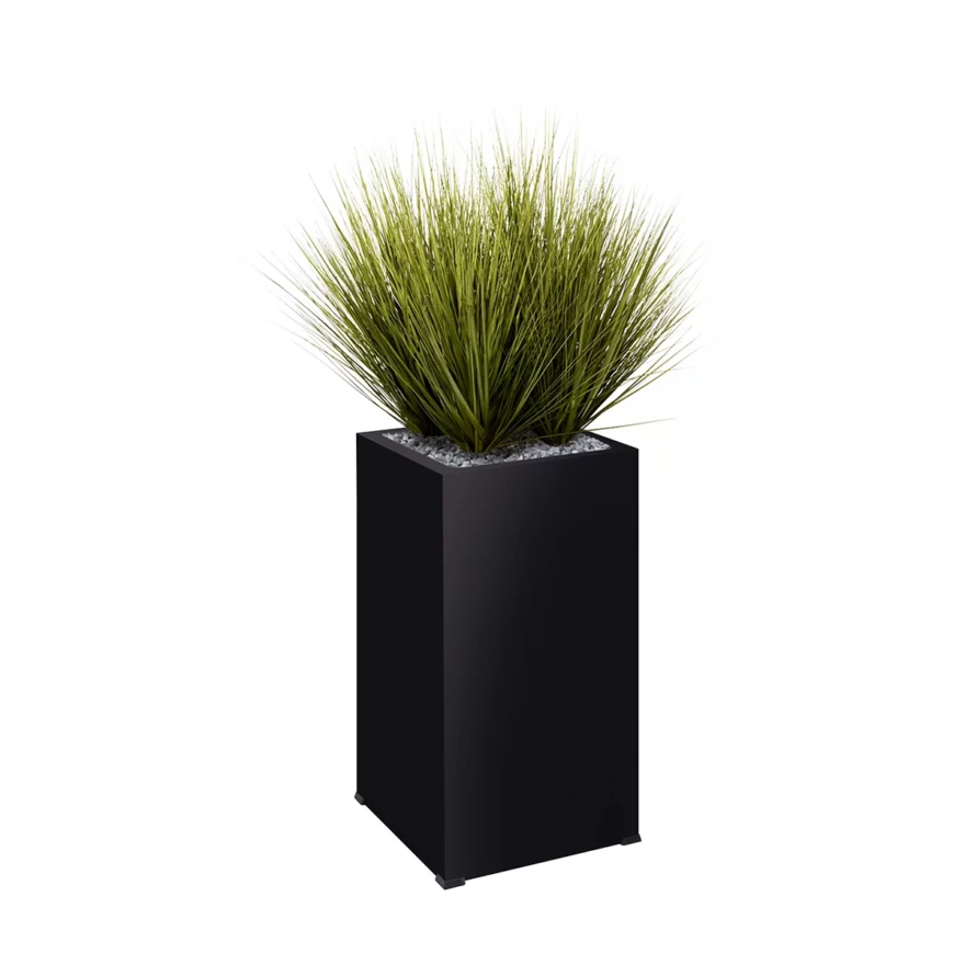 Graminées pot haut noir